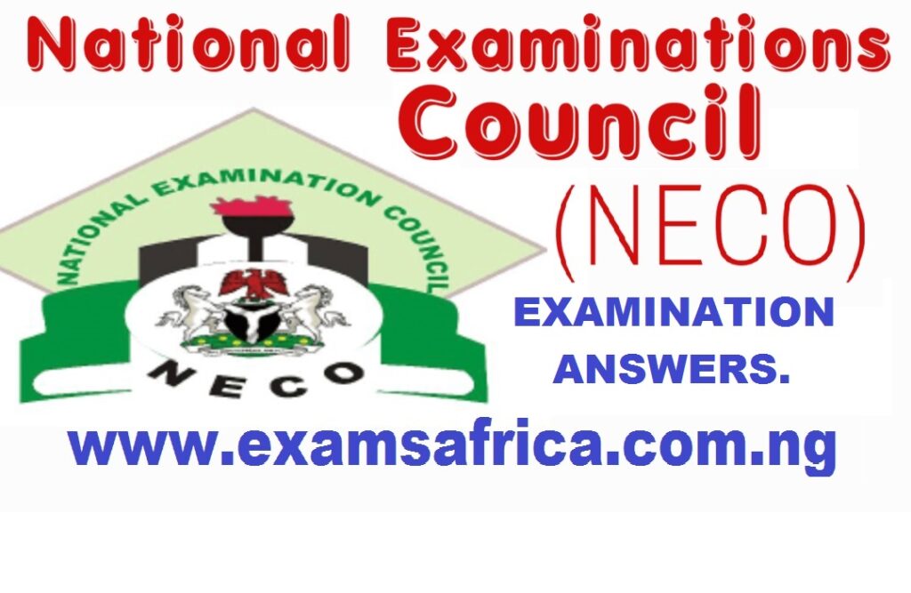 2023 NECO Data Processing Practical Questions and Answers